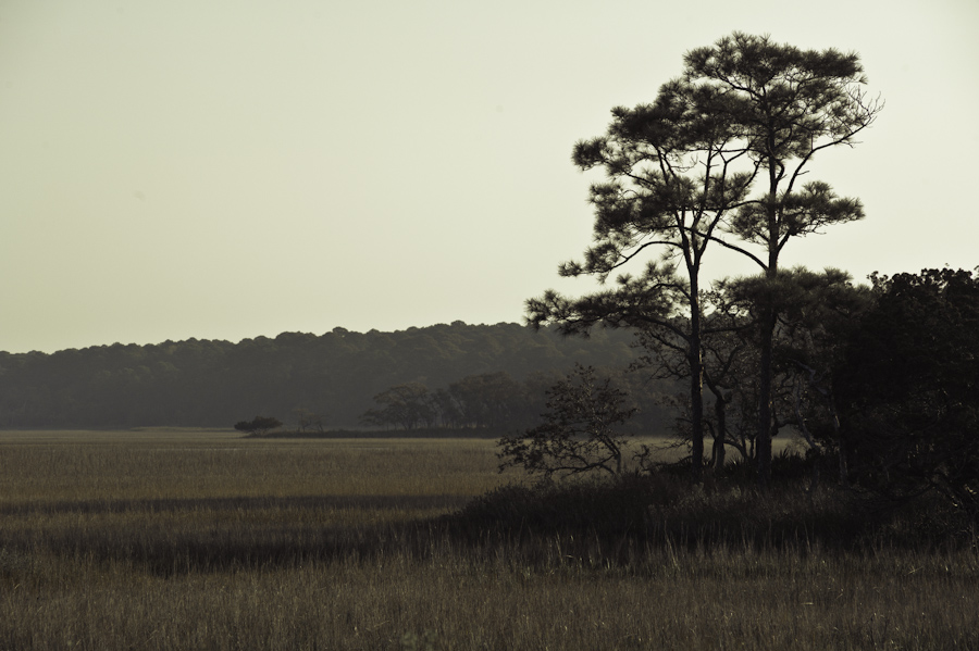 Hunter Island Marsh Dawn