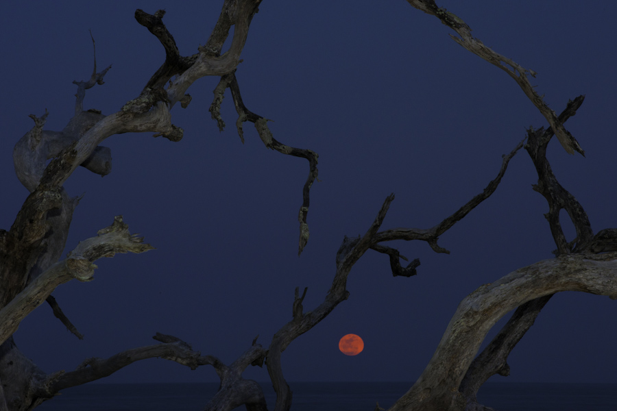 Jeckyl Moonrise 1