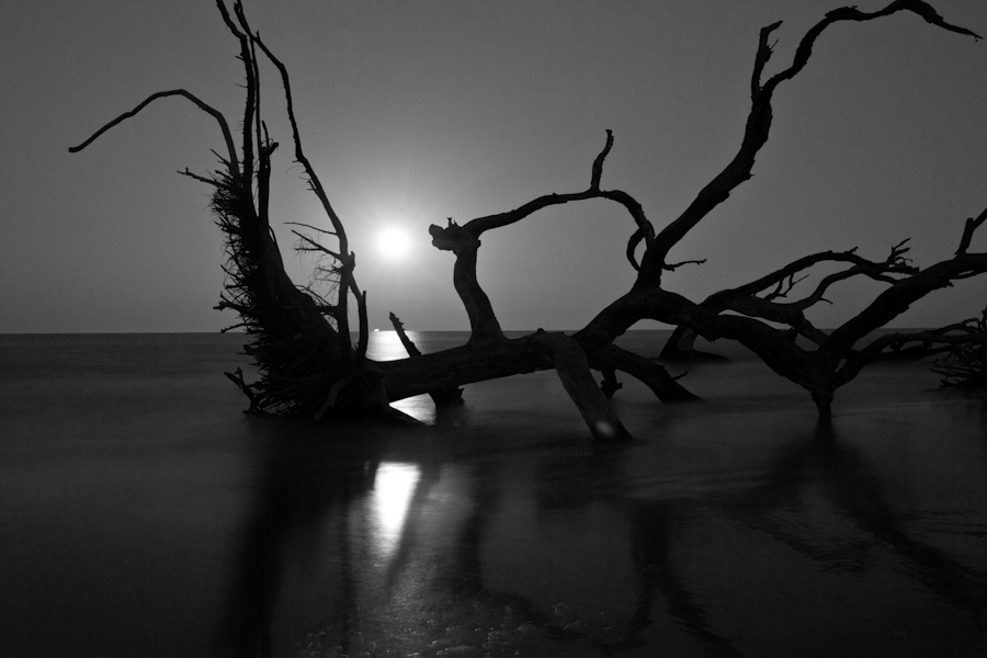 Jeckyl Moonrise 2