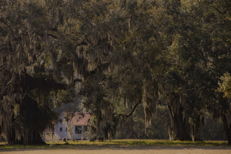 Hofwyl Broadfield Plantation Slave Quarters