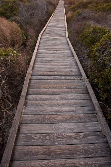 Boardwalk