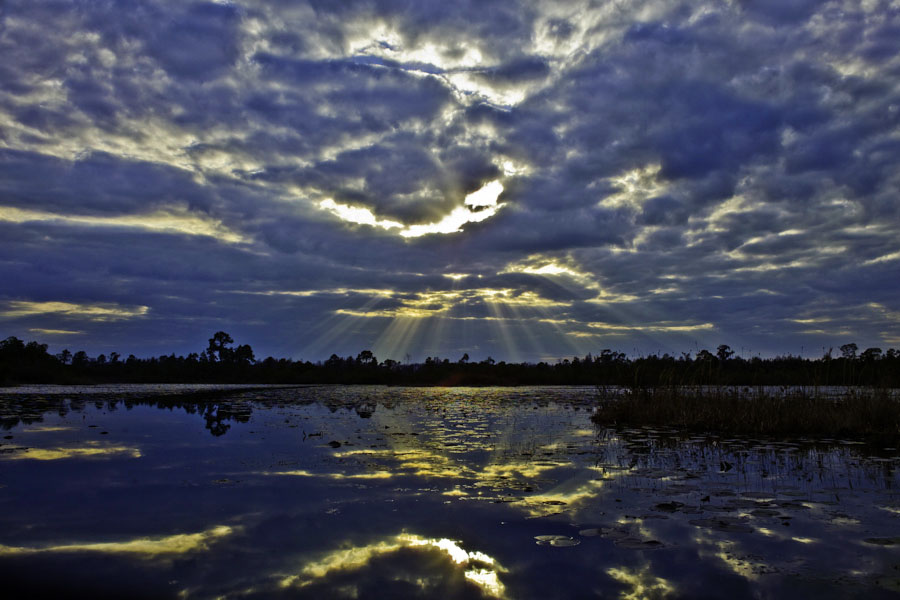 Okefenokee reflection, Jacobs Ladder