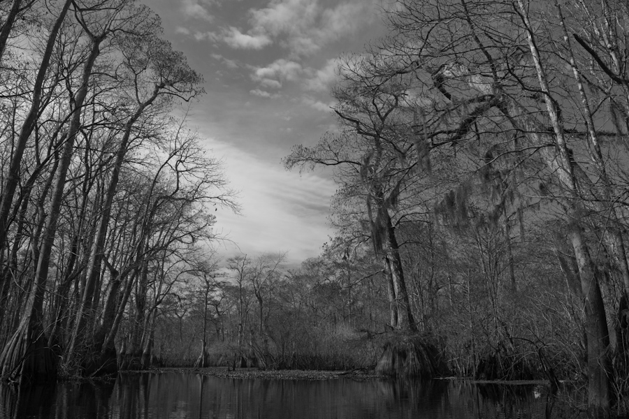 Ebenezer Creek Dead End