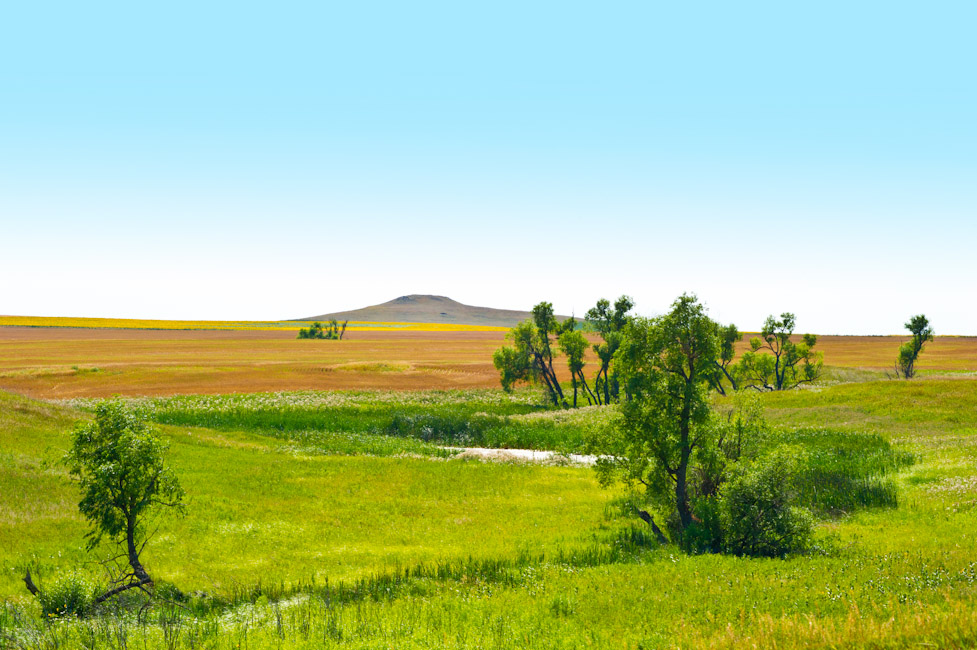 Montana Wheat lands 1