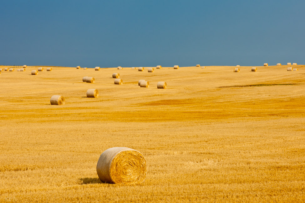 Montana Hay Roll 2