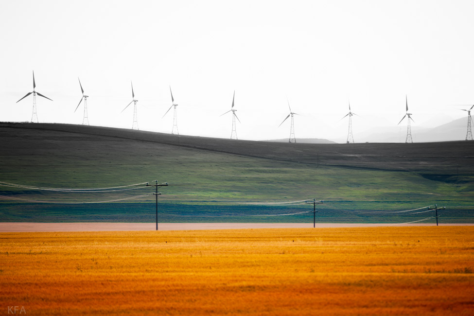 Alberta  Power 