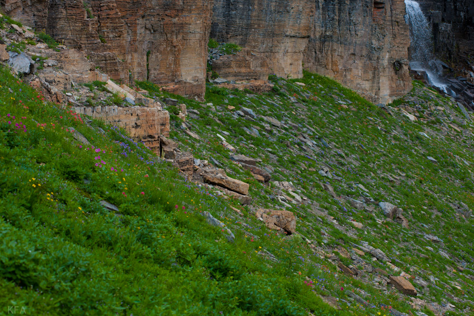Glacier Park 8496