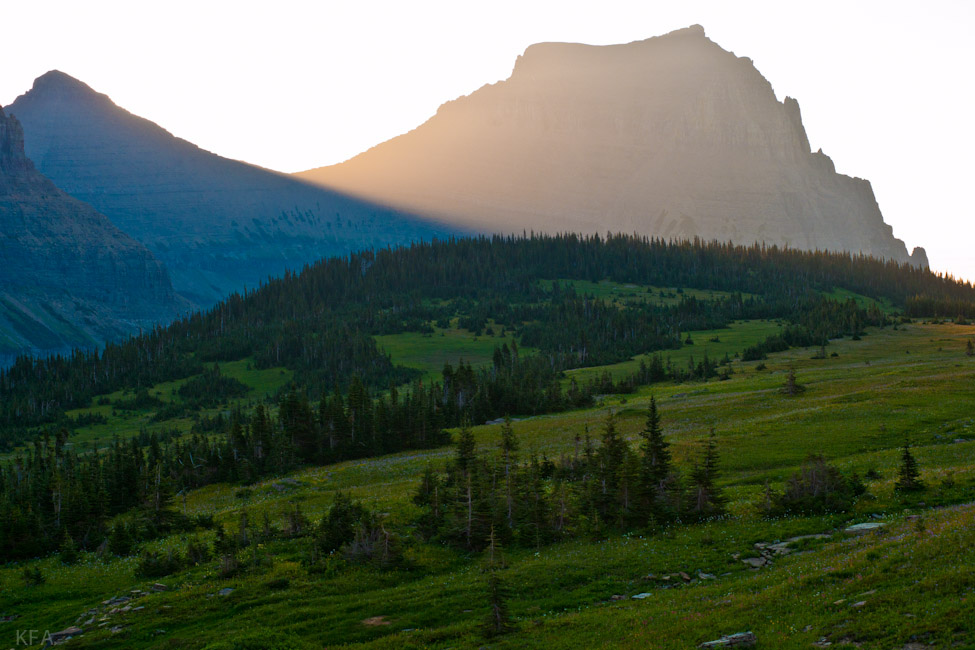 Glacier Park 8518