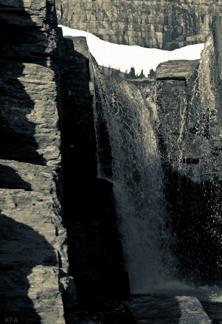 Glacier Park 8529