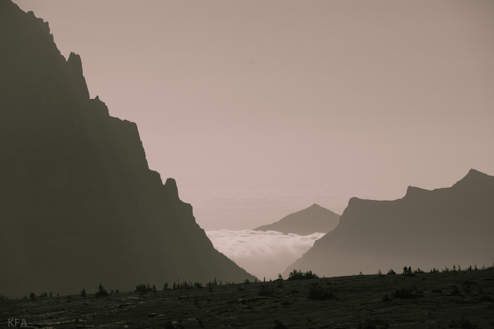 Glacier Park 8541