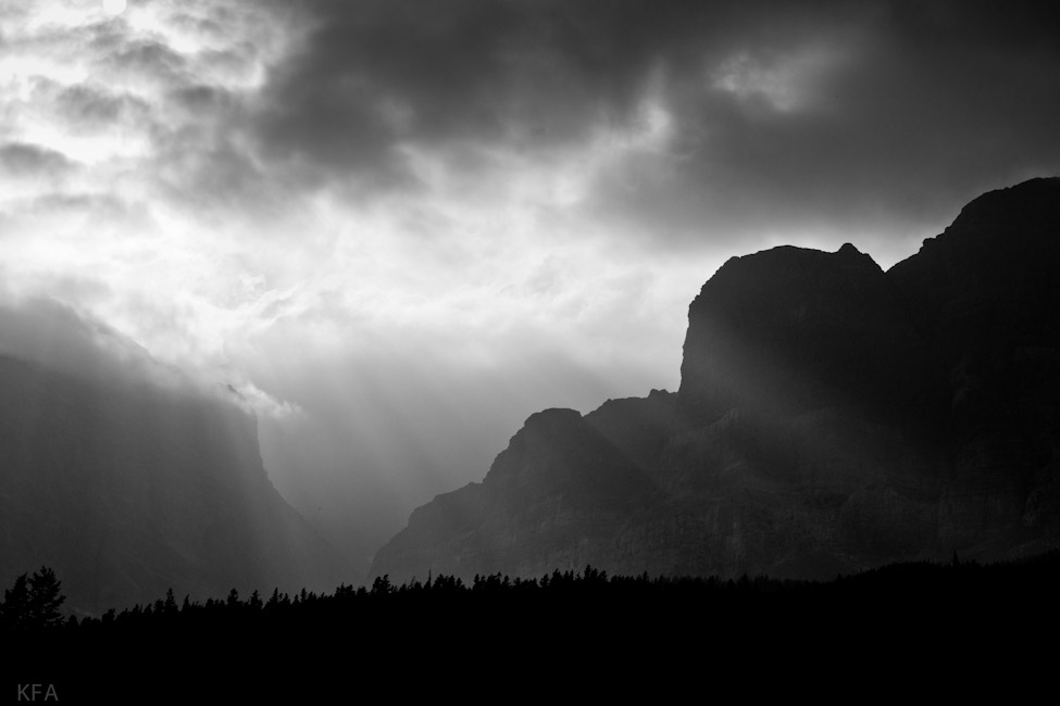 Glacier Park 8566