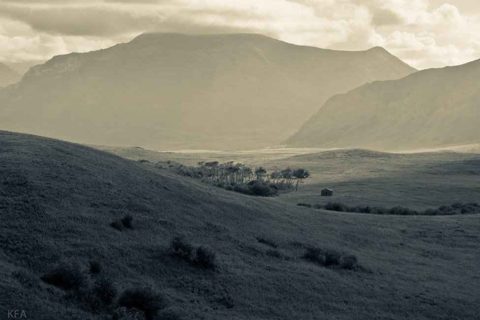 Palmer Ranch 31