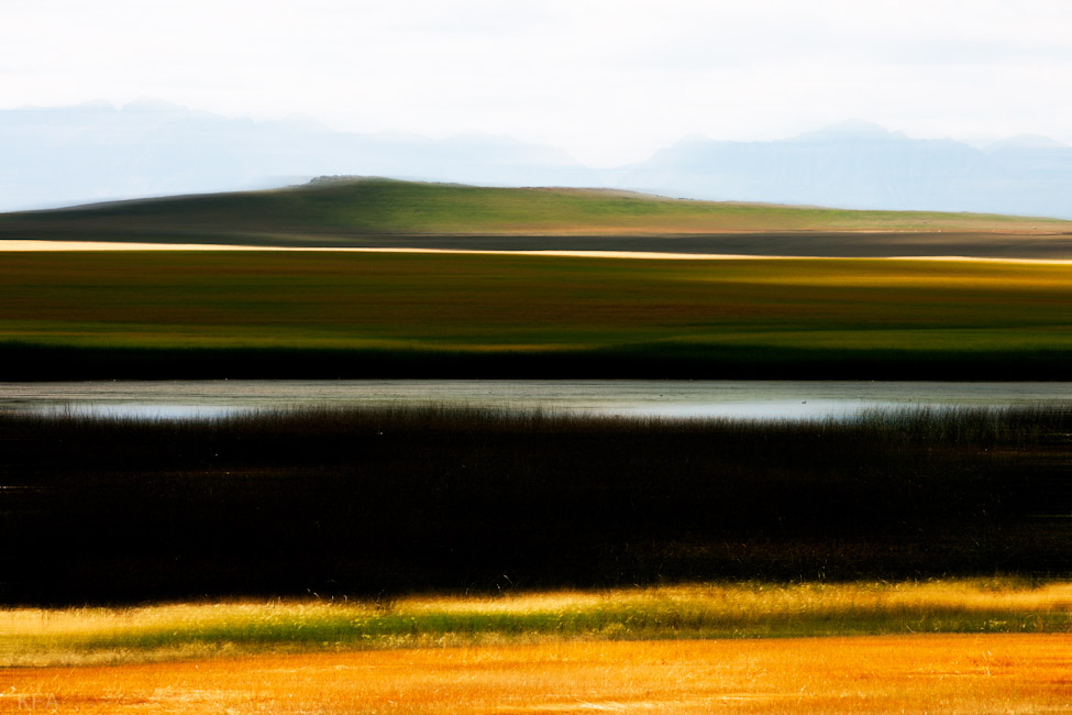 Palmer Ranch Streak