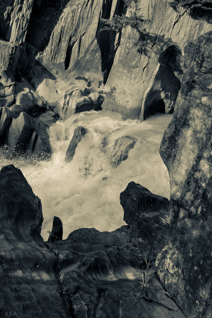 Milk River 9842