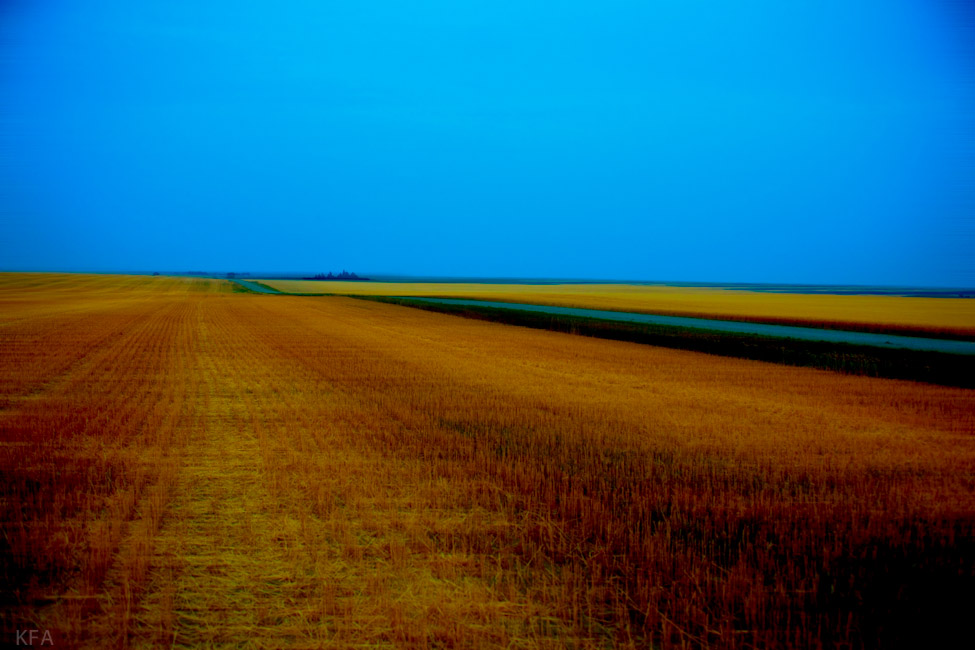 Outside Calgary 0116