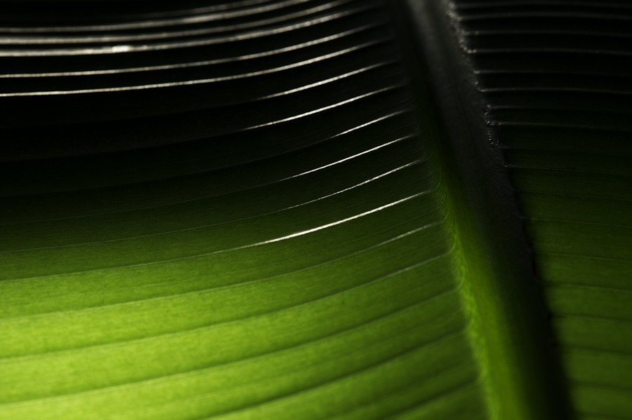 Rubber 3499