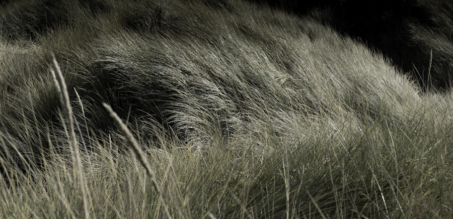 Gazos Creek Dunes 3