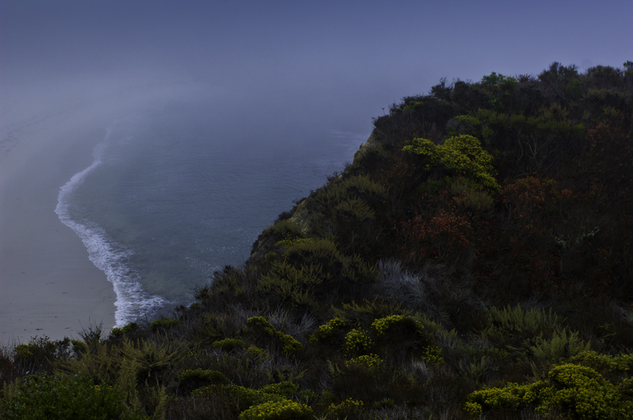 Point Lobos 1