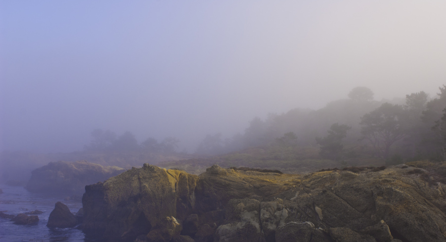 Point Lobos 4