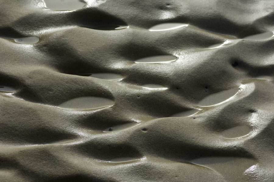 Point Lobos Stone 2