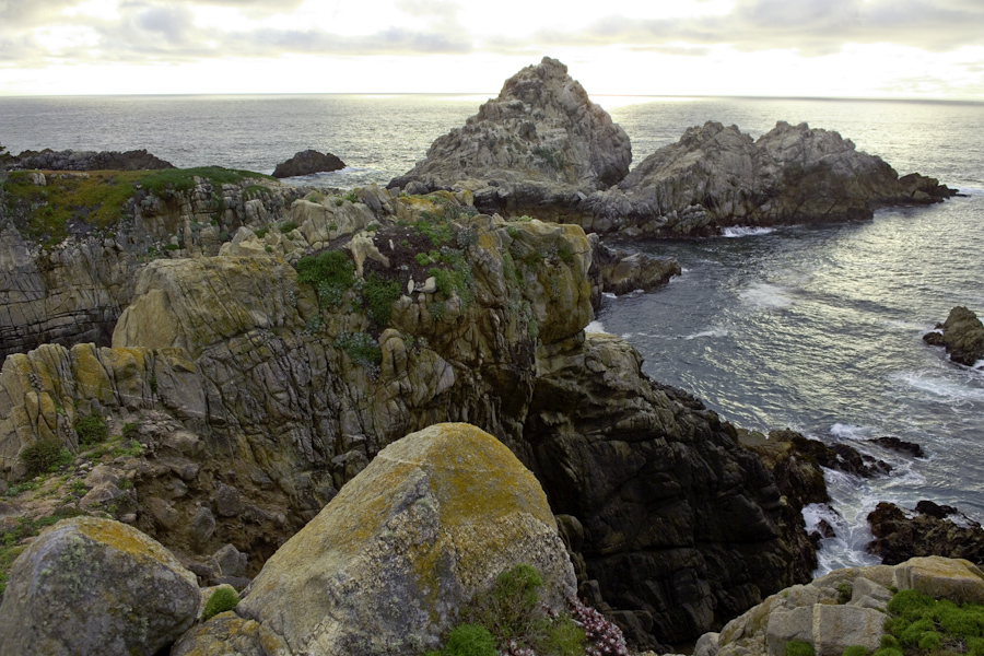 Point Lobos Itself