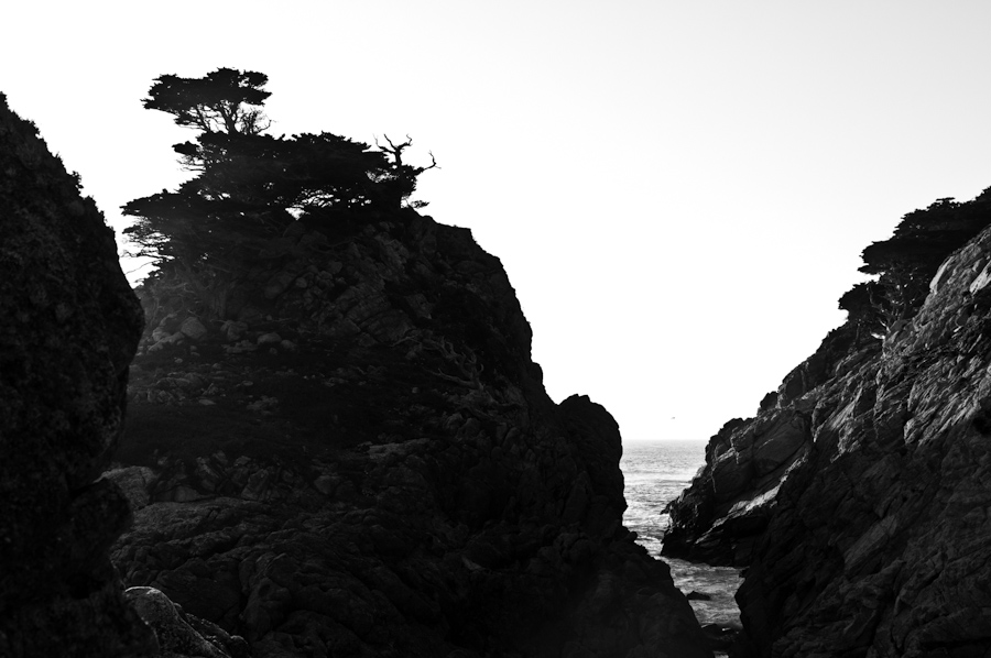Point Lobos Rocks 1