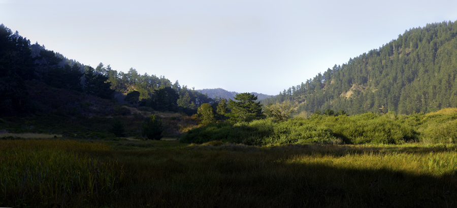 Coastal valley