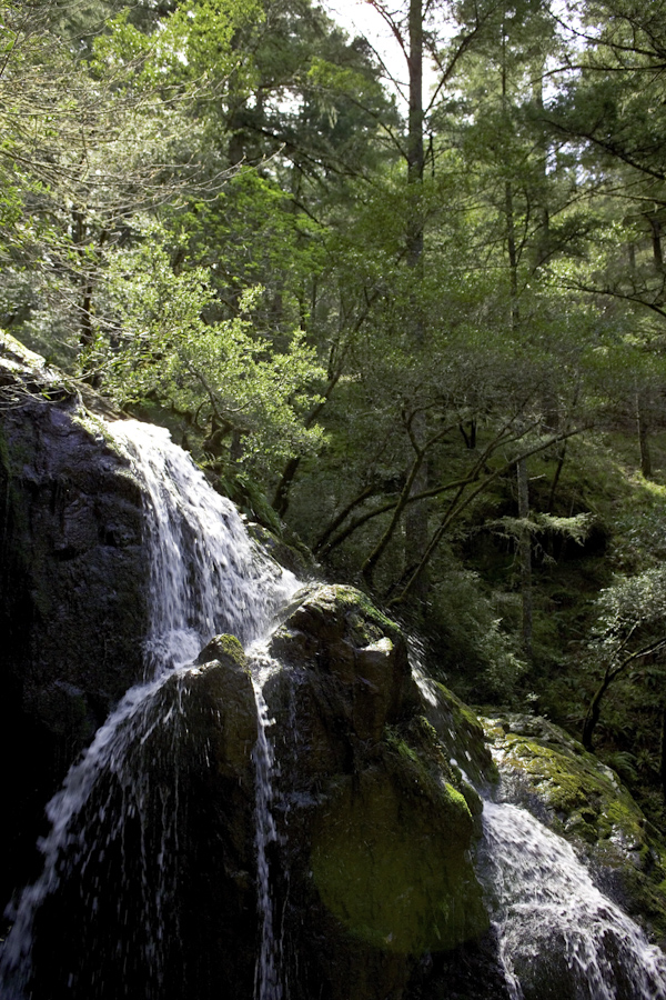 Cataract Gulch 1