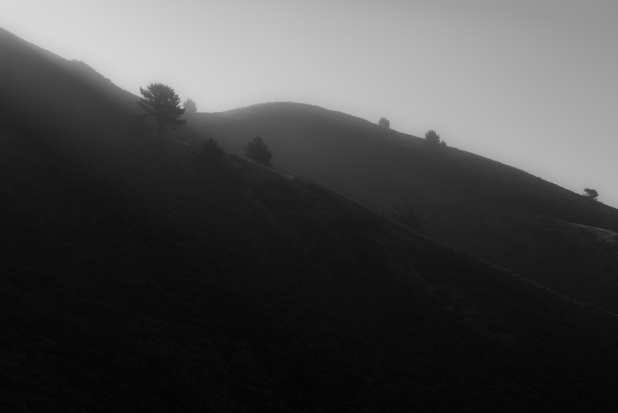 Marin Headlands Fog