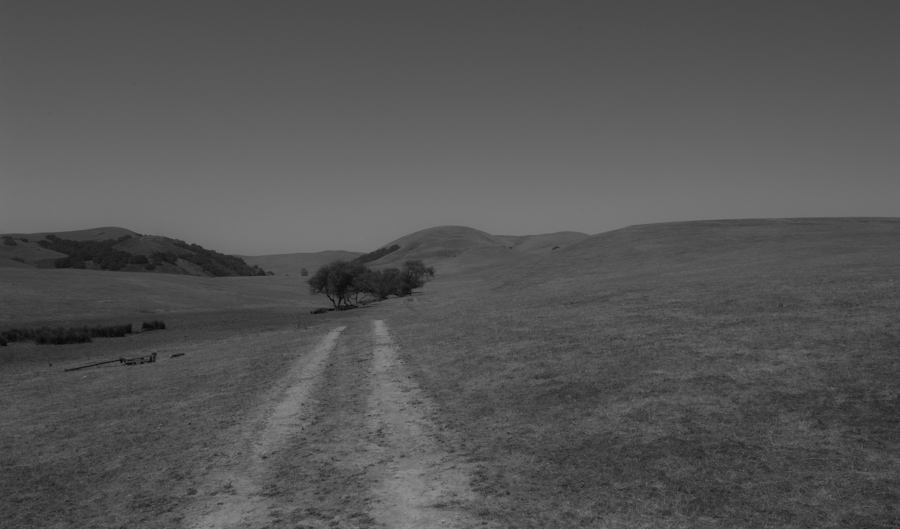 Oak and Pasture, Salinas
