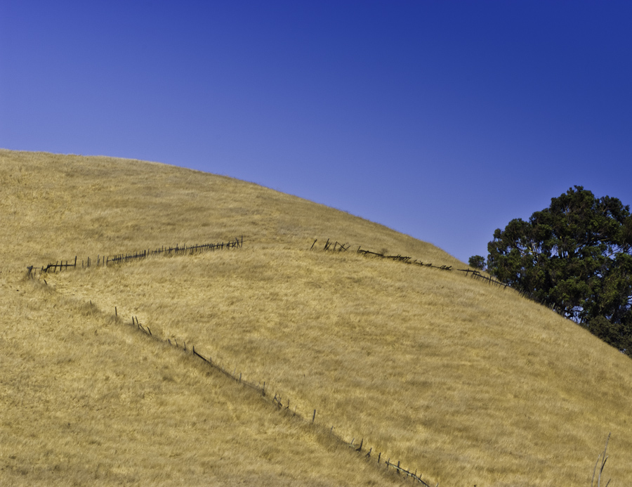 Pasture 1