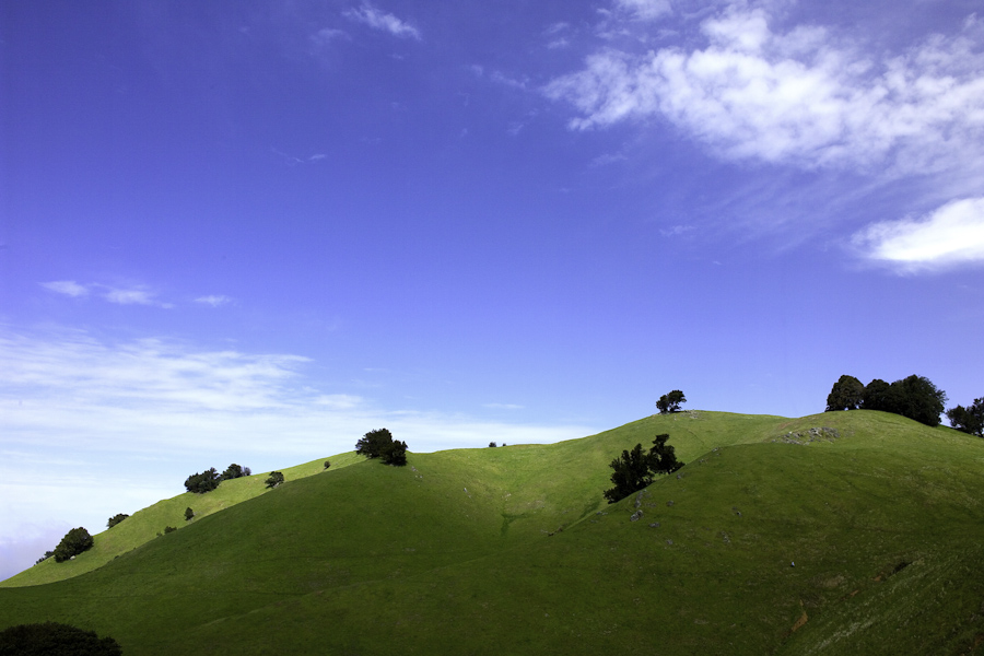 Mt. Tamalpais Ridge