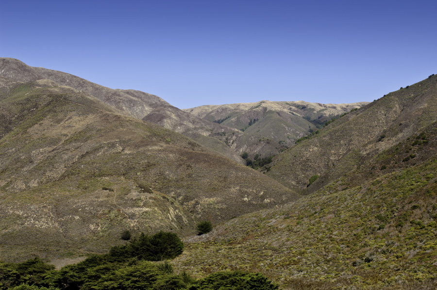 Big Sur Hillside 2