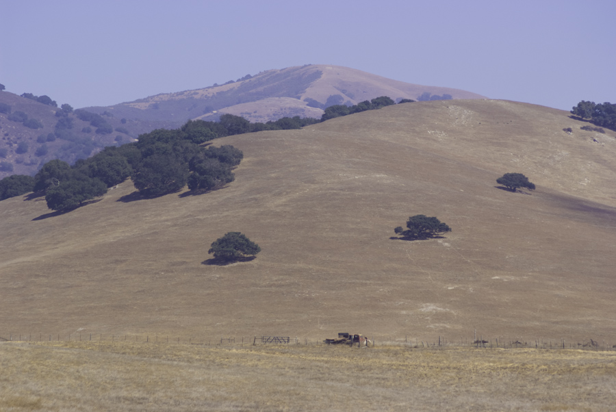 Dry pasture