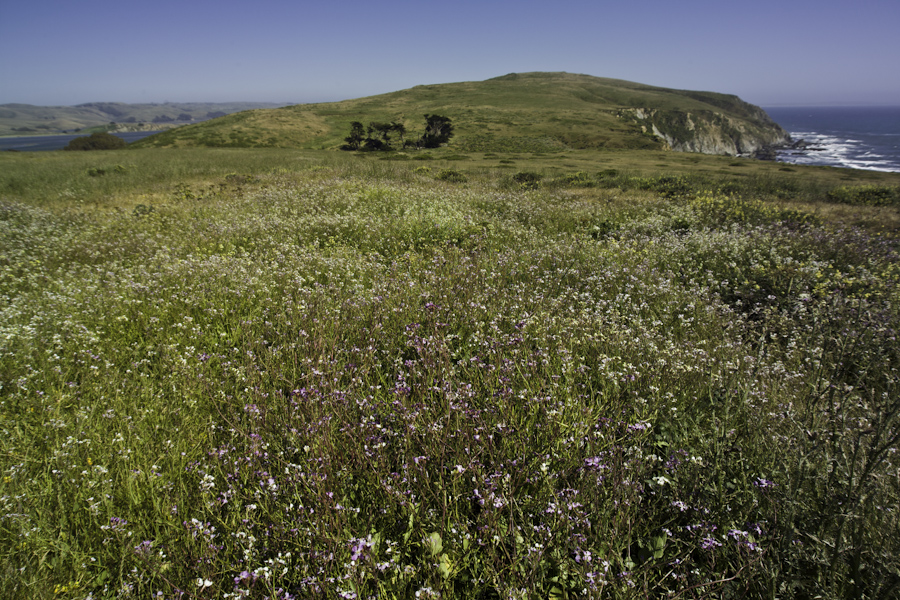Point Reyes Itself
