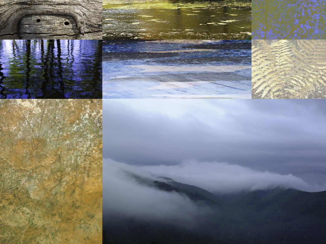 Blue Ridge Nature