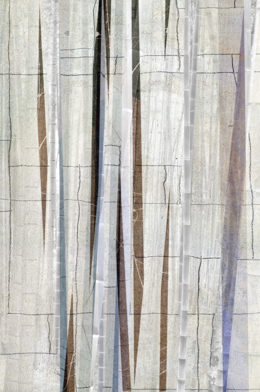 Blue Bamboo 3