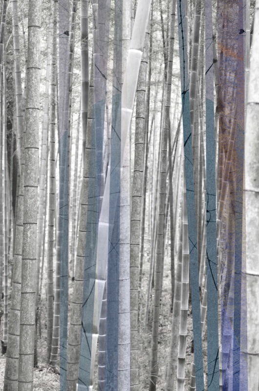 Blue Bamboo 1