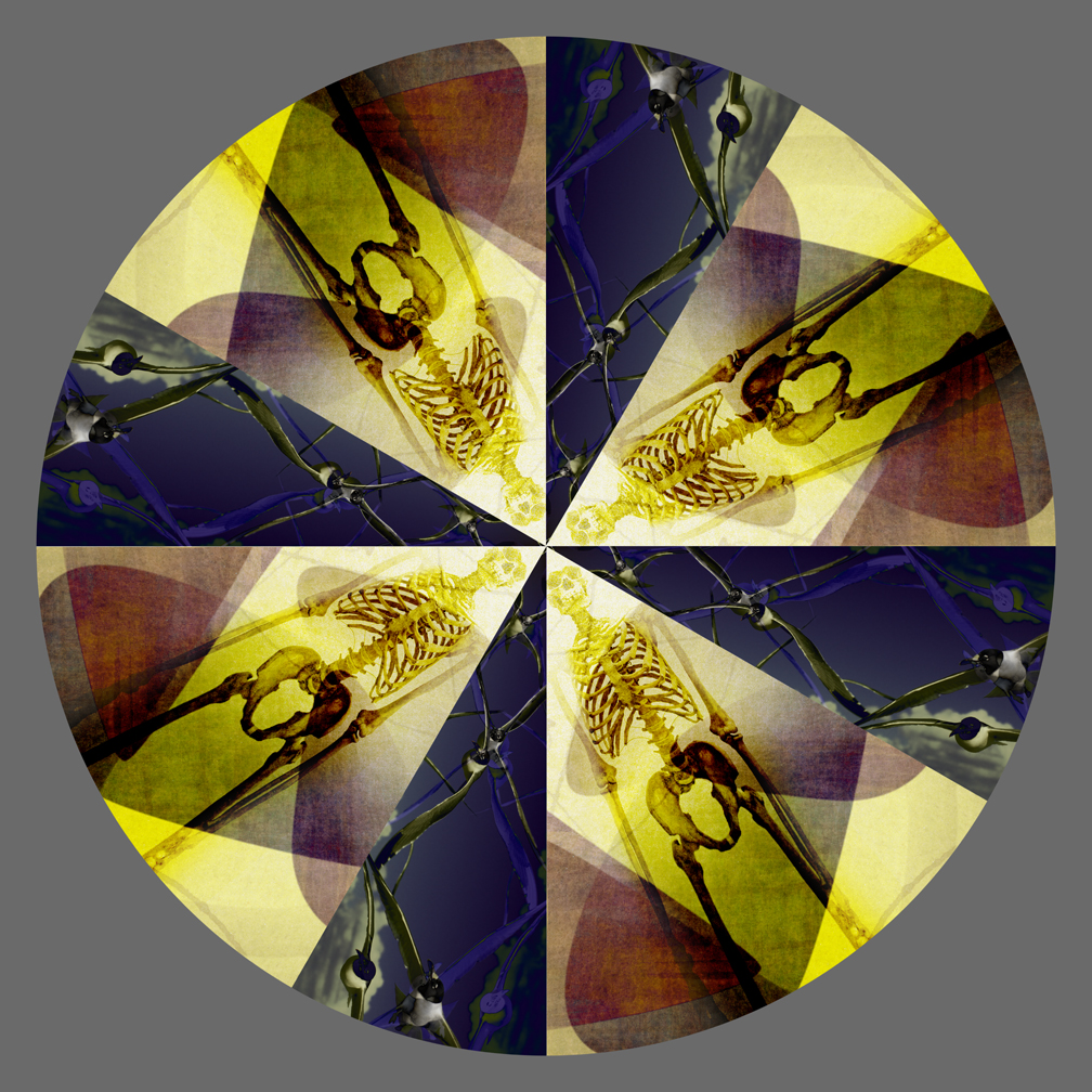 Circle 3