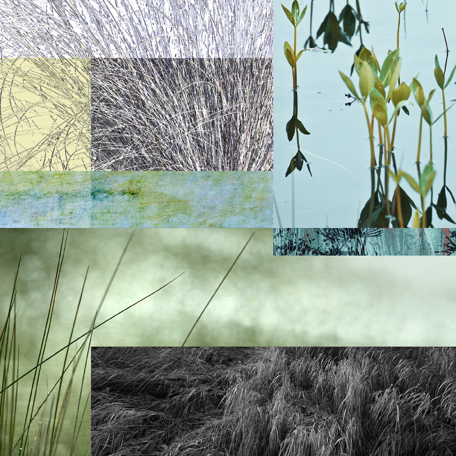 Rockgrass 3 variation