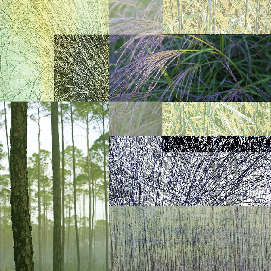 Rockgrass 4 variation
