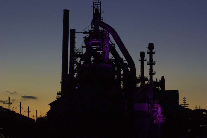 Purple Show