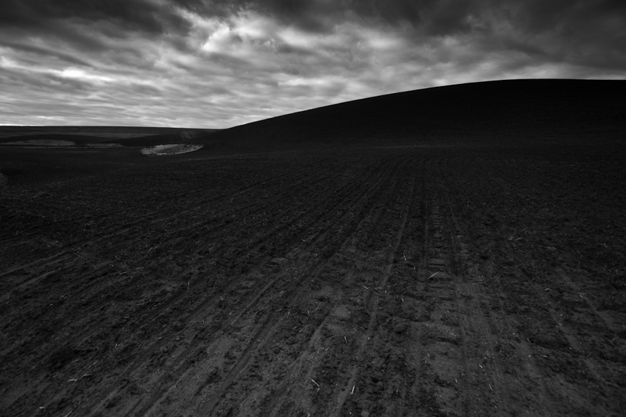 Oregon Fields 7489