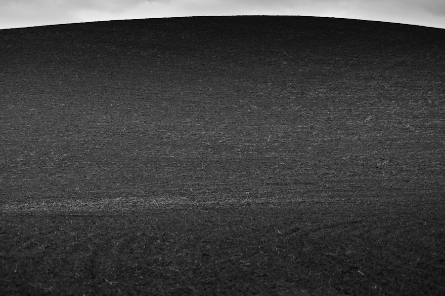 Oregon Fields 7494