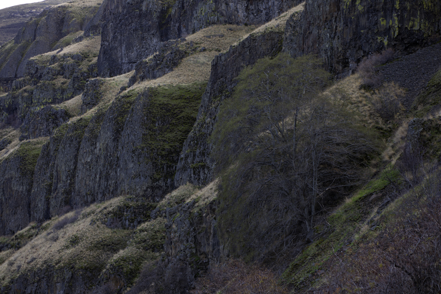 Deschutes River Canyon 7637