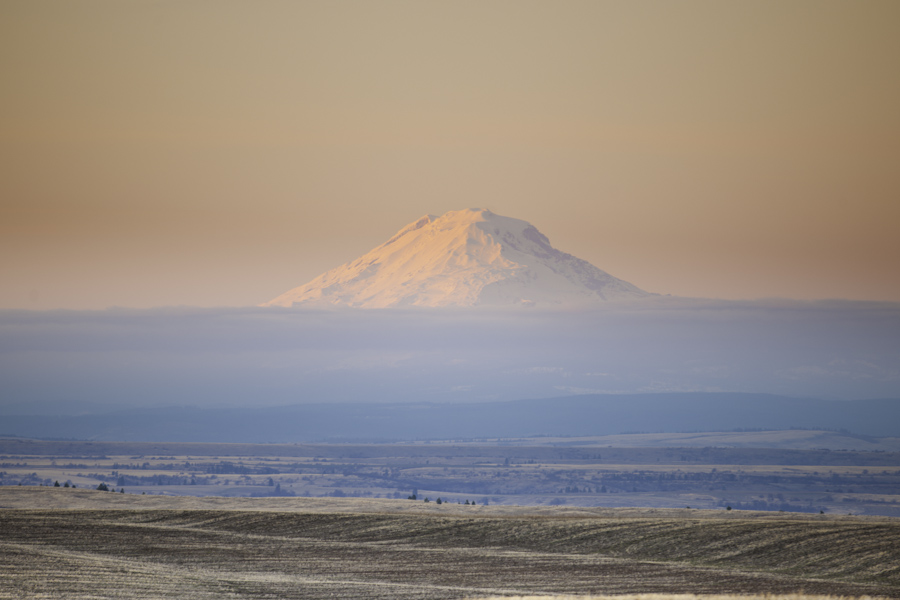 Mount Hood 7769