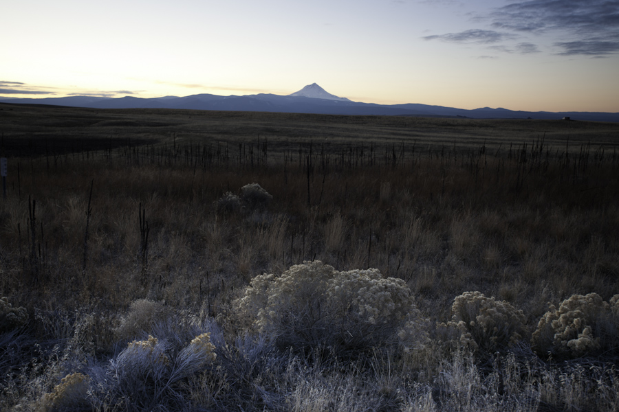 Mount Hood 7785