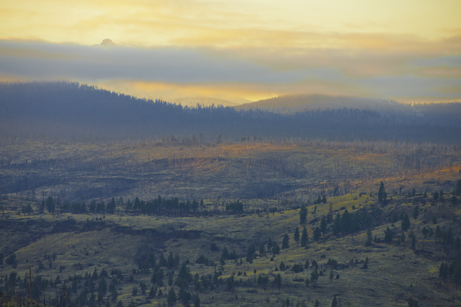Forest Fire Sunset 7894
