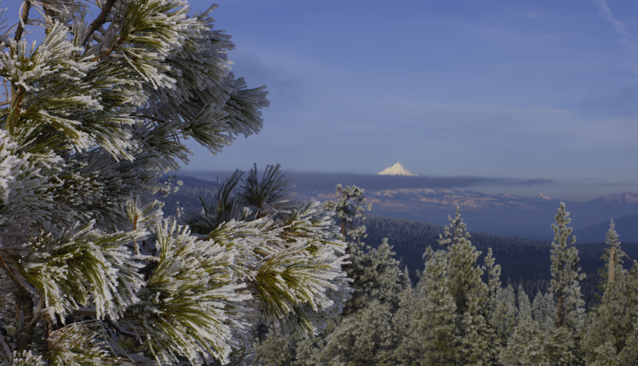 Mount Hood 7919