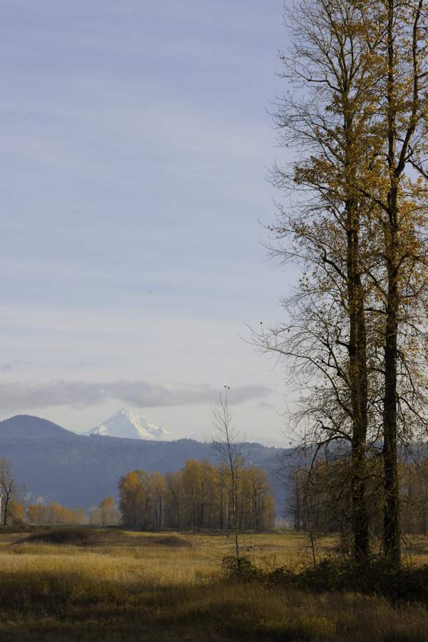 Columbia River 7381